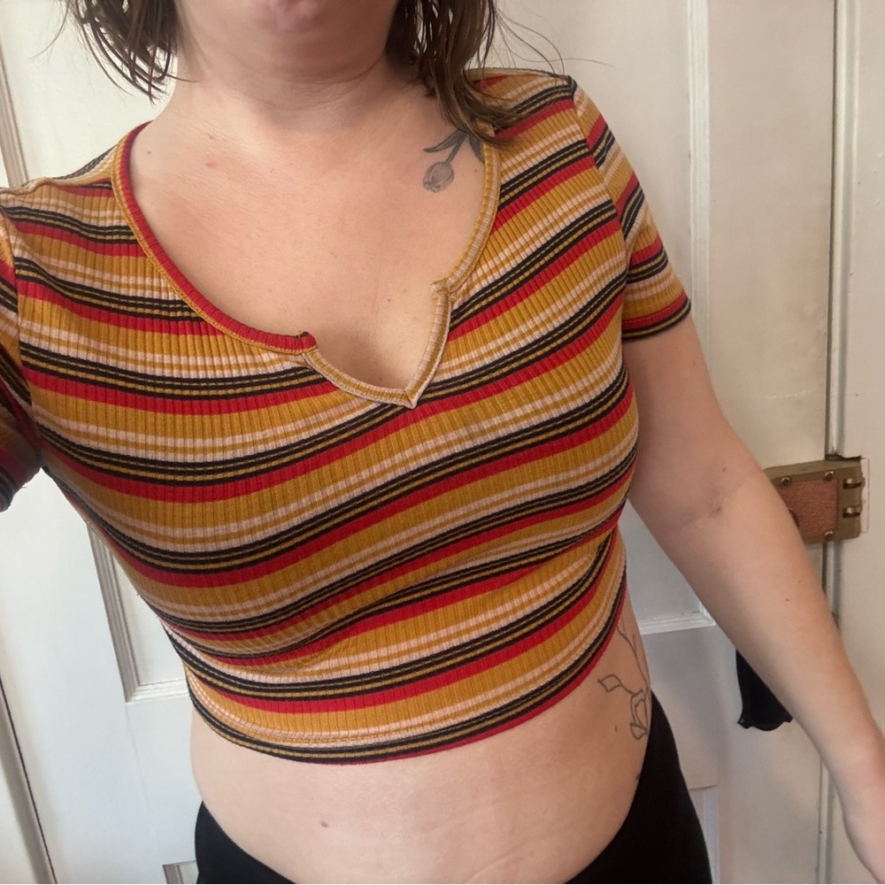 Striped V-Neck Crop Top